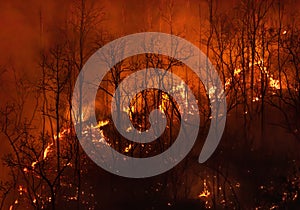 Climate change, wildfires release carbon dioxide (CO2) emissions and other greenhouse gases (GHG)