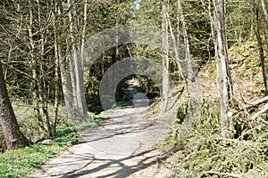 The climate crisis and forest dieback hit the forests in Germany and Bavaria very hard, photographed in 2021