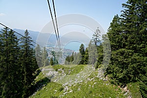 The climate crisis and forest dieback hit the forests in Germany and Bavaria very hard, photographed in 2021