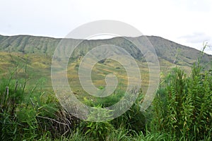 Climb in Bromo national park