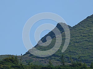 A mountain path to the top of the Marmaros range.