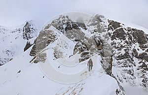 Climber ascending snowy mountain ridge