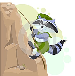 Climber descending rope. Scout raccoon climbs rock photo