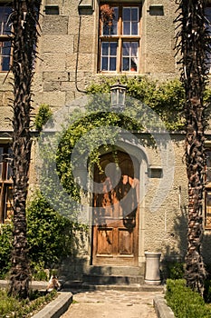 Climber Plant on Vorontsov Palace Wall in Crimea