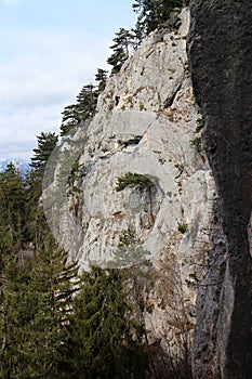 Climber on rock, Gebirgsvereinsteig, Hohe Wand