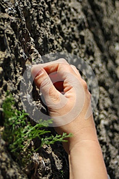 Climber's hand gripping a hole in the rock photo