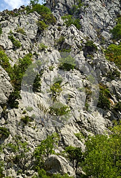 Climbers are climbing a rocky mountain in Paklenica, Croatia