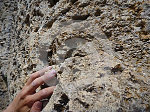 Climbers hamd on a limestone rock