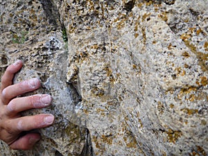 Climbers hamd on a limestone rock