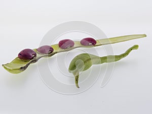 Climbing beans, fire beans on white background