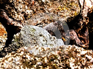 Climbing Down The Hill