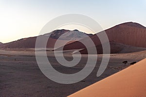 Climbing Dune 45 at sunrise