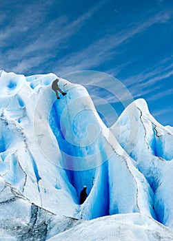 Climbing a glacier in patagonia. photo