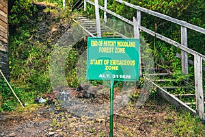 Climbing ladders at Mount Muhabura in the Mgahinga Gorilla National Park, w