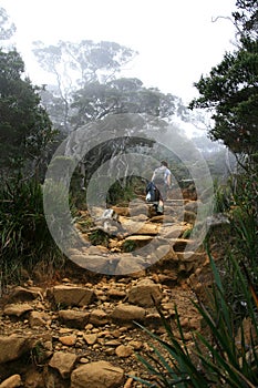 Climbing Mount Kinabalu, Borneo, Malaysia photo