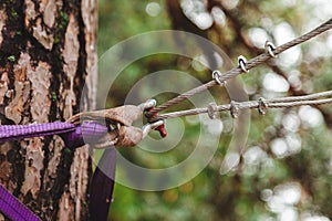 Climbing mount for suspension bridge, carabiners and slings for training at height, extreme sports