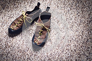 Climbing and mountaineering equipment on a carpet. Shoes, carbine, rope, lope, ascend-er. Concept of outdoor and extreme sport.