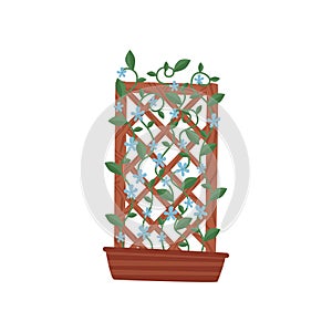 Climbing plant with small blue flowers in brown pot with wooden trellis. Gardening theme. Flat vector icon