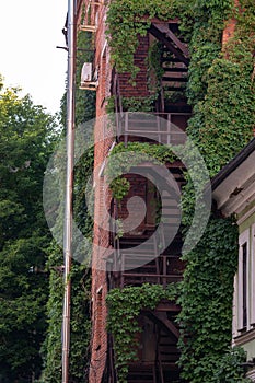 climbing plants on the fire metal stairs of a brick building