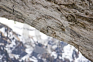 Climbing quickdraws hanging in a rock in the Italian Dolomites