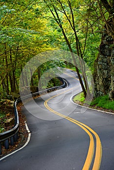 Climbing Road Ascends Bays Mountain Tennessee photo