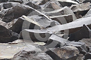 Climbing Rocks On Range