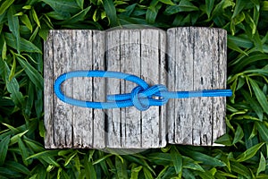 Climbing rope with a bowline knot.