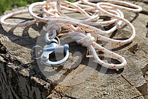 Climbing rope with carabiner on tree stump, closeup