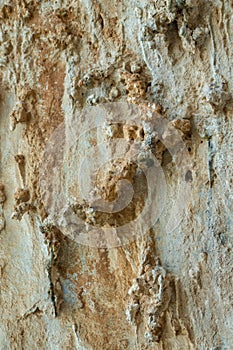 Climbing routes in Grande Grotta crag Kalymnos, Greece