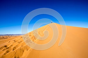 Climbing a sand dune in the desert