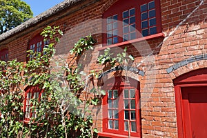 A climbing shrub grows in front of a building with red windows at a country house in Devon, England