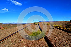 Climbing to the sky photo