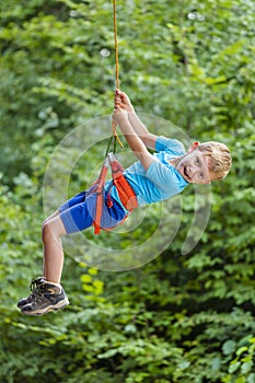 Climbing tree in adventure park