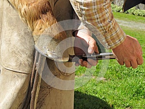 Clinching Horseshoe Nails to the Hoof