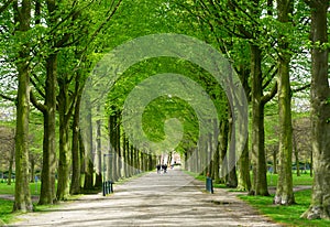 Clingendael park, Den Haag, Netherlands