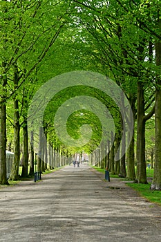 Clingendael park, Den Haag, Netherlands