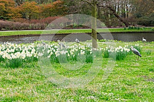 Clingendael park, Den Haag, Netherlands