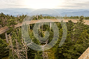 Clingman`s Dome viewpoint of pathway and mountains