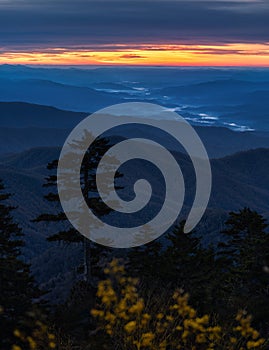 Clingmans Dome during blue sunrise