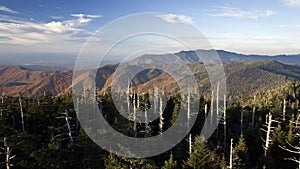 Clingmans Dome Great Smoky Mountains