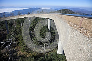 Clingmans Dome - Great Smoky Mountains