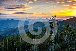 Clingmans Dome, Great Smoky Mountains, tennessee