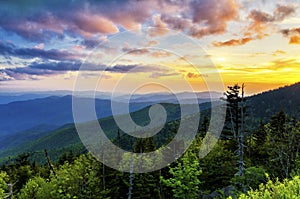 Clingmans Dome, Great Smoky Mountains, tennessee photo