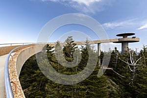 Clingmans Dome in North Carolina.