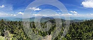 Clingmans Dome Panorama