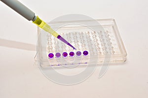 In clinical diagnostic laboratories.