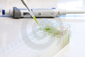 Clinical laboratory in process of chemical analysis. Collection of probe using automatic pipette.