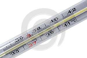 Clinical mercury thermometer.