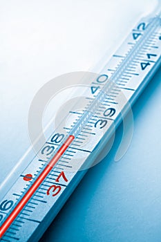 Clinical thermometer