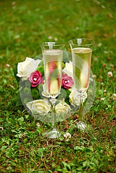 clink glasses by bride and groom